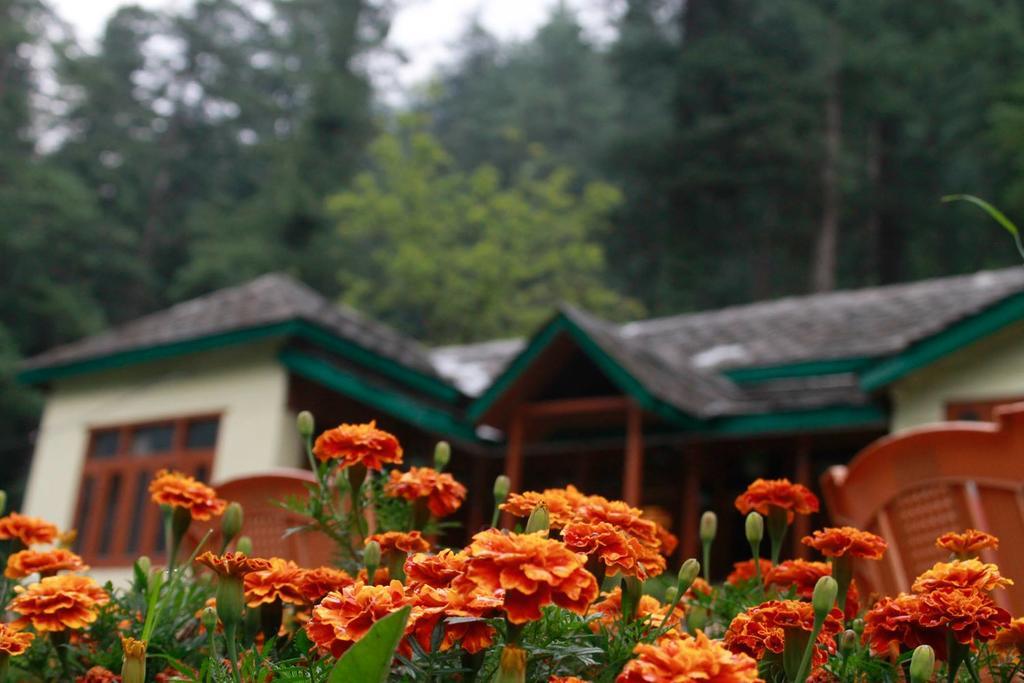 Parvati Kuteer Riverside Resort Касоль Экстерьер фото